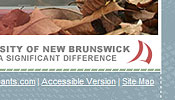 University of New Brunswick